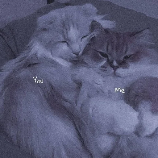 😒 Стикер «Cutest Cats» для Telegram