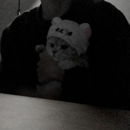 🥺 Стикер «Cutest Cats» для Telegram