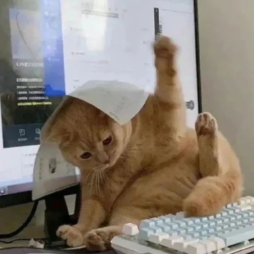 🐈 Стикер «Murk» для Telegram