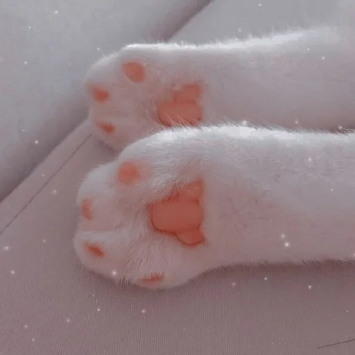 🐈 Стикер «Murk» для Telegram