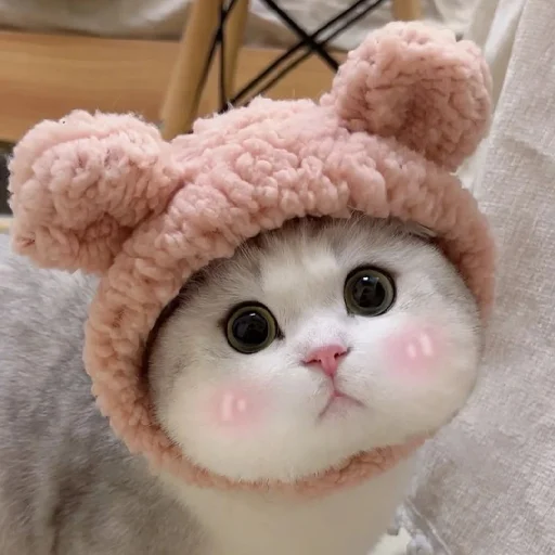 🐈 Стикер «Murk» для Telegram