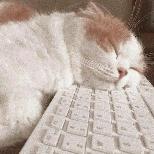 🐈 Стикер «Murk» для Telegram