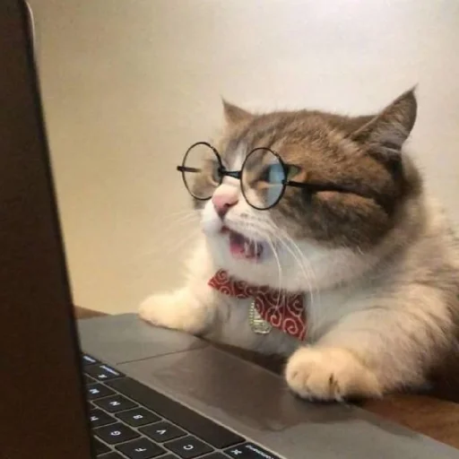 🐈 Стикер «Murk» для Telegram