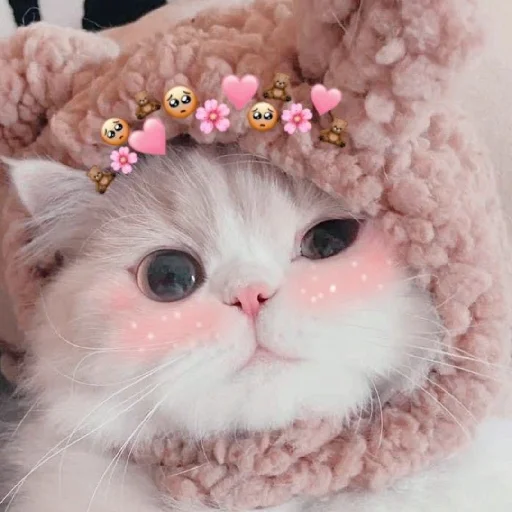 🐈 Стикер «Murk» для Telegram