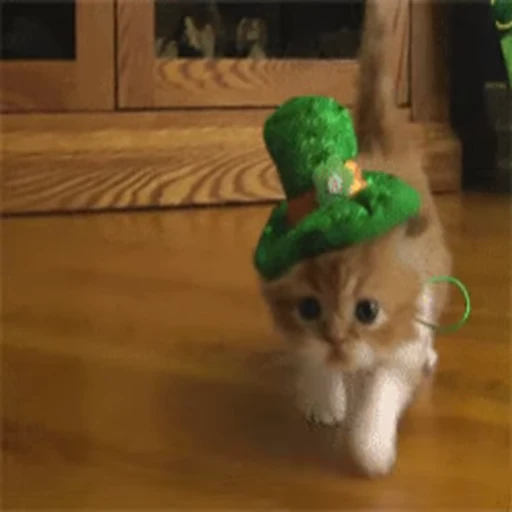 🐾 Стикер «*mew*mew*» для Telegram