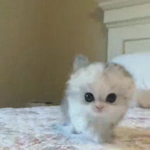 Стикерпак *mew*mew* для Telegram