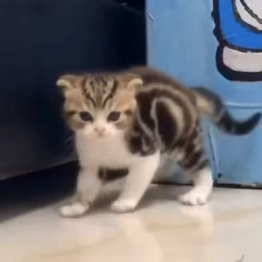🐾 Стикер «*mew*mew*» для Telegram