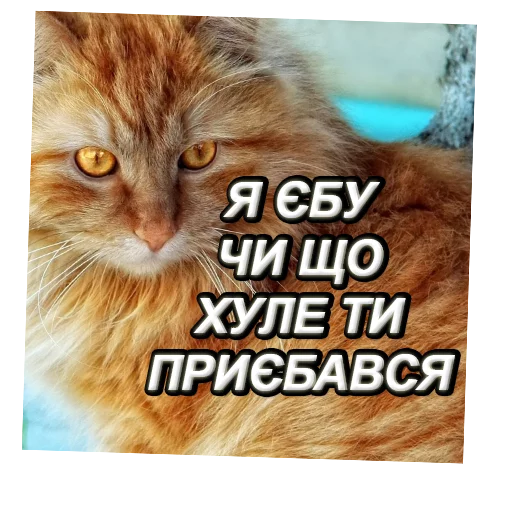 ☑ Стикер «fondateur7» для Telegram