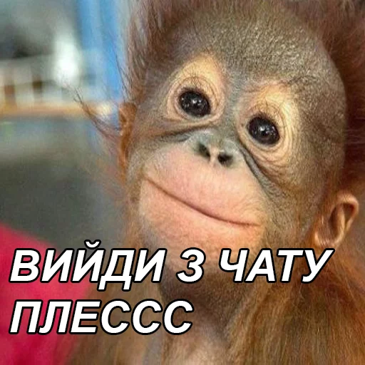 👈 Стикер «fondateur7» для Telegram