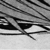 🤩 Эмодзи «⠀⠀ ⠀ Тетрадь смерти» для Telegram