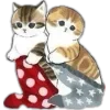 Стикер 27 🤩🤩🤩🤩🤩🤩🐱🤩🤩
