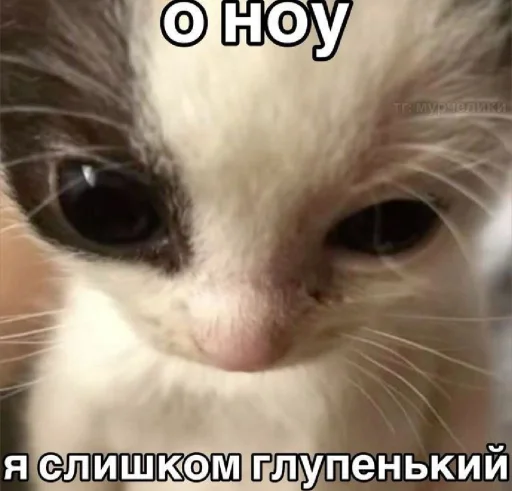 Стикерпак 𝔓𝔬𝔡𝔳𝔞𝔩 𝔐𝔦𝔷𝔲𝔨 для Telegram