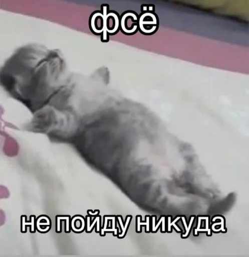 🤩 Стикер «𝔓𝔬𝔡𝔳𝔞𝔩 𝔐𝔦𝔷𝔲𝔨» для Telegram
