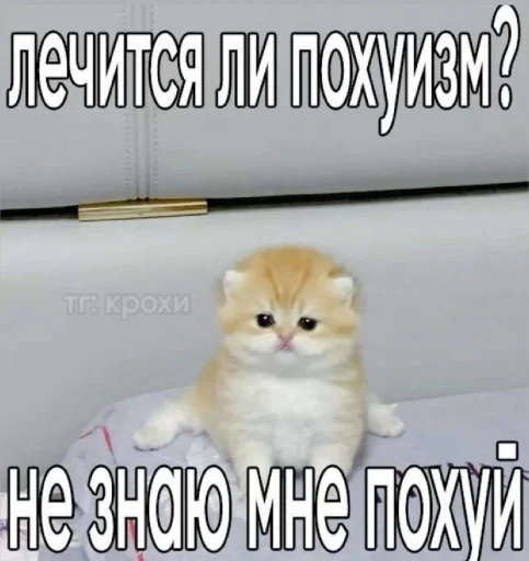 🤩 Стикер «𝔓𝔬𝔡𝔳𝔞𝔩 𝔐𝔦𝔷𝔲𝔨» для Telegram