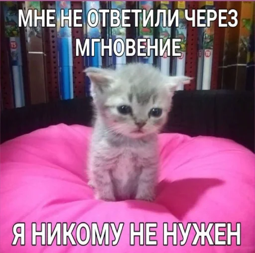 🤩 Стикер «𝔓𝔬𝔡𝔳𝔞𝔩 𝔐𝔦𝔷𝔲𝔨» для Telegram