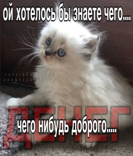 🤩 Стикер «𝔓𝔬𝔡𝔳𝔞𝔩 𝔐𝔦𝔷𝔲𝔨» для Telegram