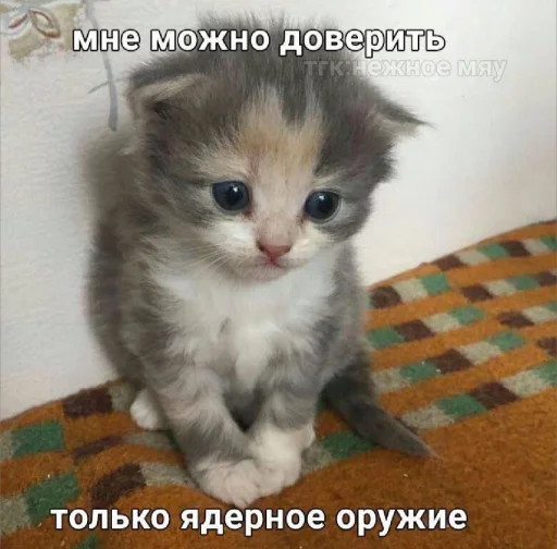 🤩 Стикер «𝔓𝔬𝔡𝔳𝔞𝔩 𝔐𝔦𝔷𝔲𝔨» для Telegram