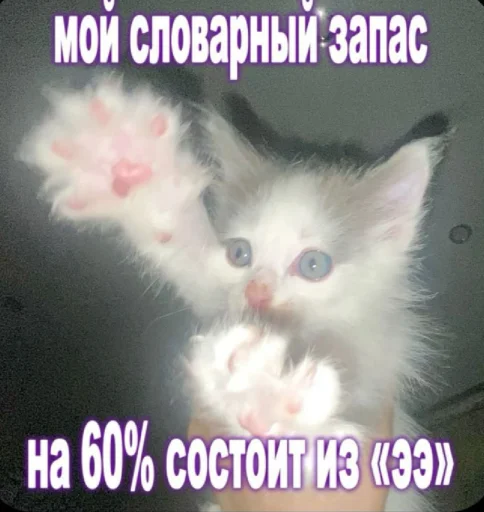🤩 Стикер «𝔓𝔬𝔡𝔳𝔞𝔩 𝔐𝔦𝔷𝔲𝔨» для Telegram
