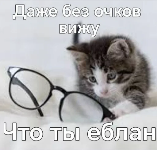 🤩 Стикер «𝔓𝔬𝔡𝔳𝔞𝔩 𝔐𝔦𝔷𝔲𝔨» для Telegram