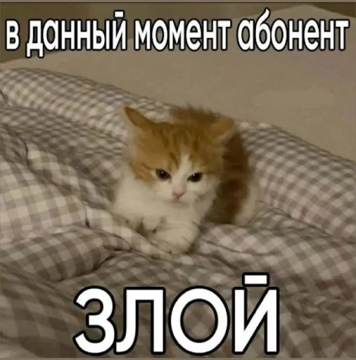 🤩 Стикер «𝔓𝔬𝔡𝔳𝔞𝔩 𝔐𝔦𝔷𝔲𝔨» для Telegram