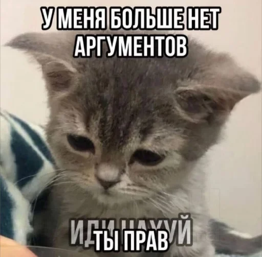 🤩 Стикер «𝔓𝔬𝔡𝔳𝔞𝔩 𝔐𝔦𝔷𝔲𝔨» для Telegram
