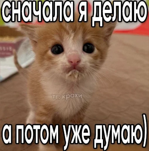 🤩 Стикер «𝔓𝔬𝔡𝔳𝔞𝔩 𝔐𝔦𝔷𝔲𝔨» для Telegram