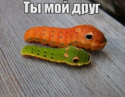 🌟 Стикер «sticks be 663» для Telegram