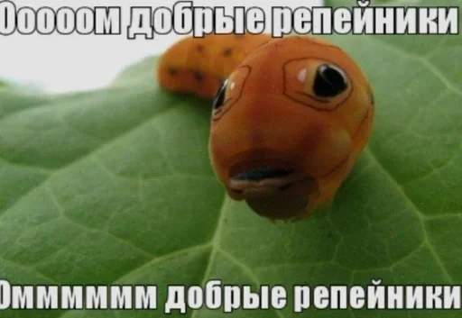 🌟 Стикер «sticks be 663» для Telegram
