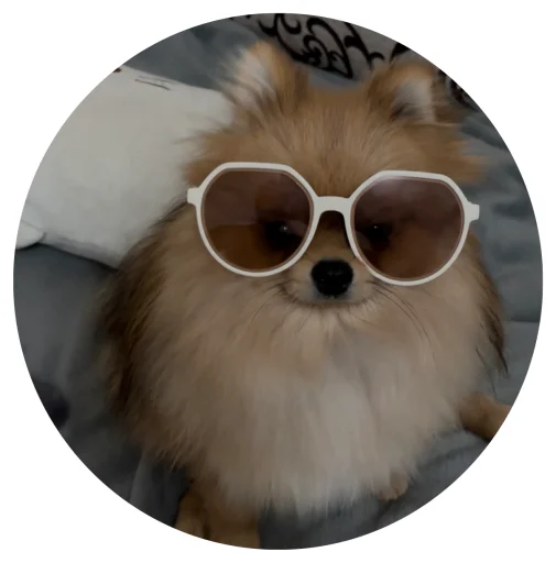 🤩 Стикер «БОНЯ» для Telegram
