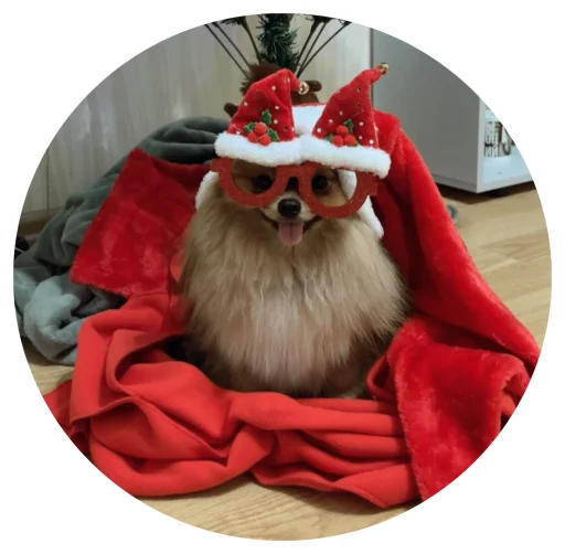 🤩 Стикер «БОНЯ» для Telegram