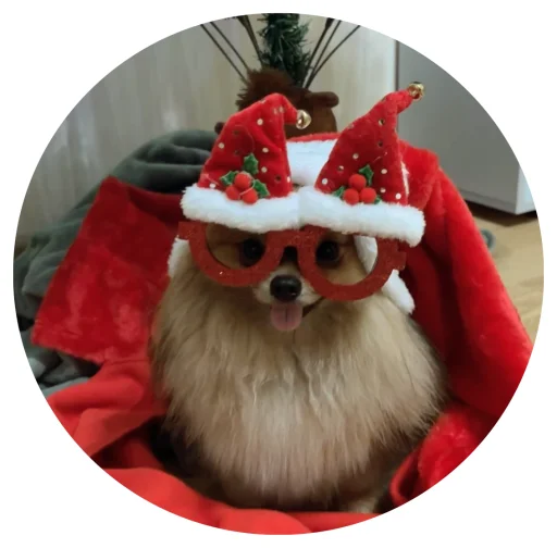 🤩 Стикер «БОНЯ» для Telegram