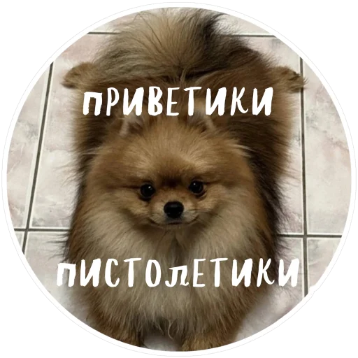 🤩 Стикер «БОНЯ» для Telegram