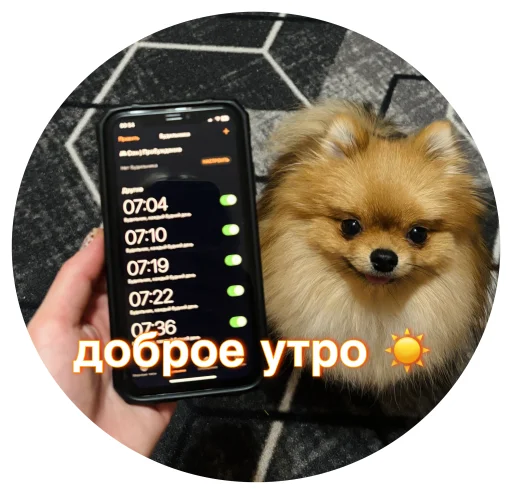 🤩 Стикер «БОНЯ» для Telegram