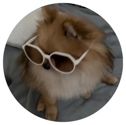 🤩 Стикер «БОНЯ» для Telegram