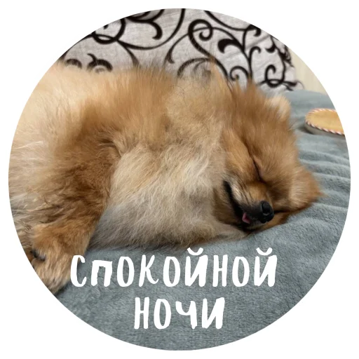 🤩 Стикер «БОНЯ» для Telegram