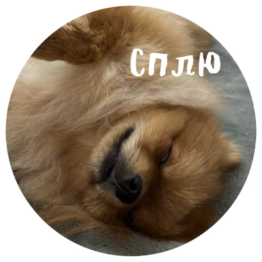 🤩 Стикер «БОНЯ» для Telegram