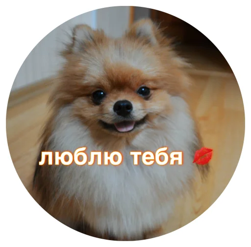 🤩 Стикер «БОНЯ» для Telegram