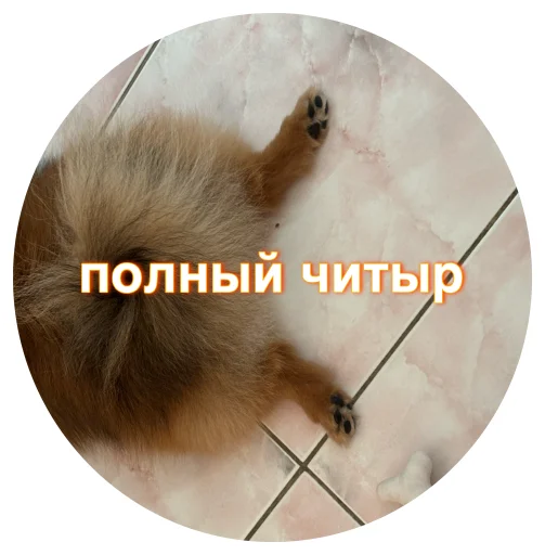 🤩 Стикер «БОНЯ» для Telegram