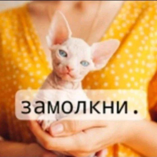 🤩 Стикер «sticks d 459a» для Telegram