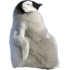 Стикер 17 Пингвины