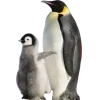 Стикер 36 Пингвины