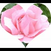 🤩 Эмодзи «» для Telegram