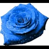 🤩 Эмодзи «» для Telegram