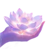 Стикер 27 Lotus - лотосы