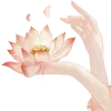 Стикер 20 Lotus - лотосы