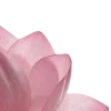 Стикер 50 Lotus - лотосы