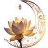 Стикер 29 Lotus - лотосы