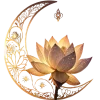 Стикер 36 Lotus - лотосы