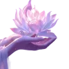 Стикер 35 Lotus - лотосы