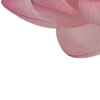 Стикер 57 Lotus - лотосы